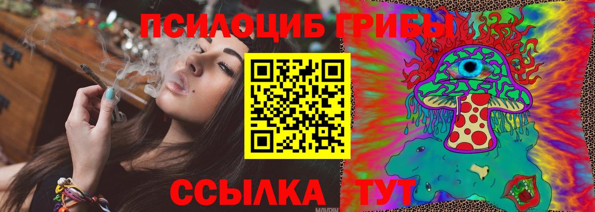 Галлюциногенные грибы прущие грибы Кохма